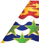 Bird strike identified after Cayman Airways flight KX852 landed safely in Panama