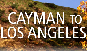 Enjoy nonstop flights from Grand Cayman to Los Angeles, California (LAX)!