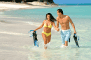 Honeymoon Travel Specials